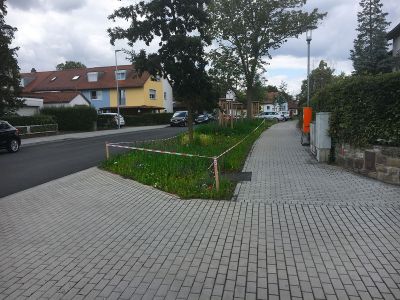Sanderrothstrasse-wuerzburg24